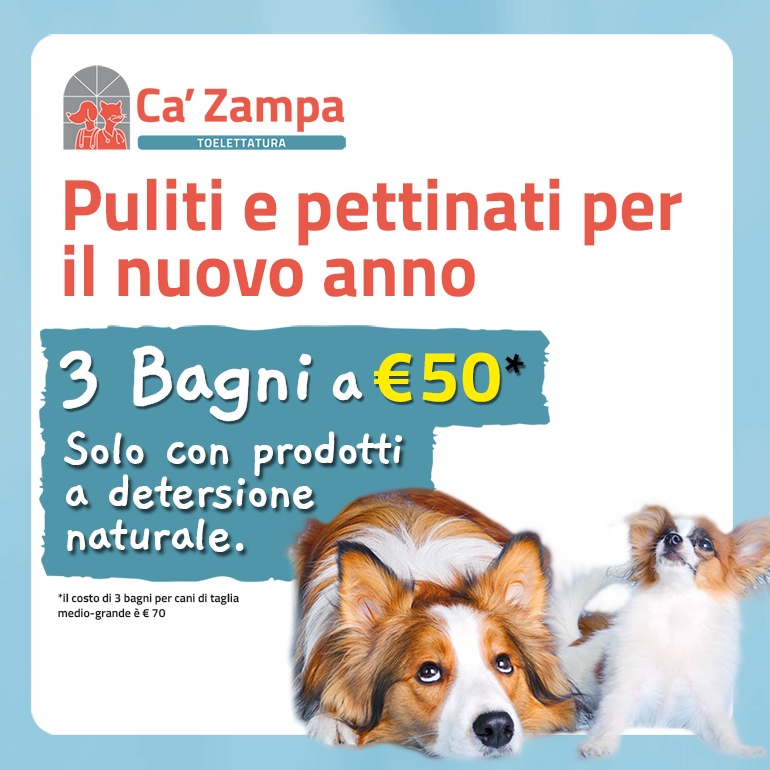 Inizia il 2020 con la zampa giusta!
